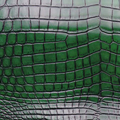 Coccodrillo / Crocodile Coccodrillo / Crocodile